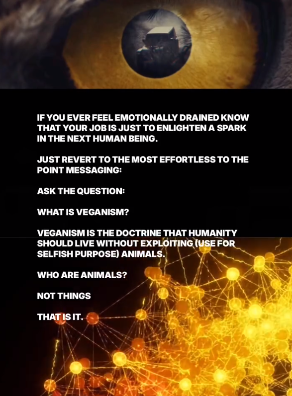 Your job is to enlighten a spark in the next human being